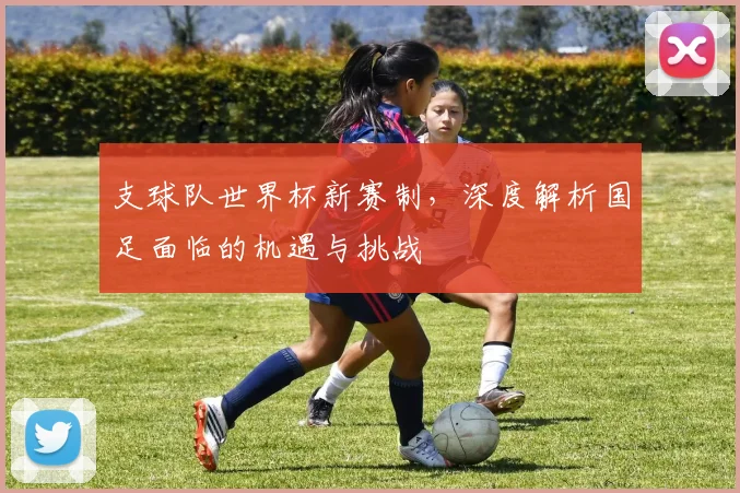 支球队世界杯新赛制,深度解析国足面临的机遇与挑战