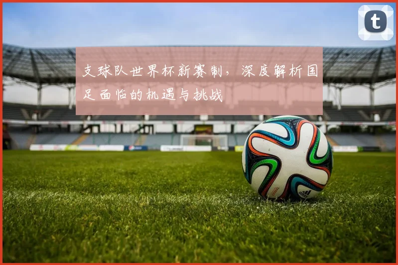 支球队世界杯新赛制,深度解析国足面临的机遇与挑战