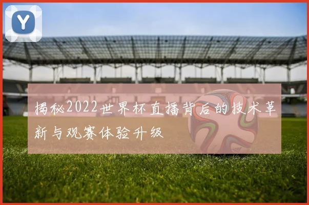 揭秘2022世界杯直播背后的技术革新与观赛体验升级