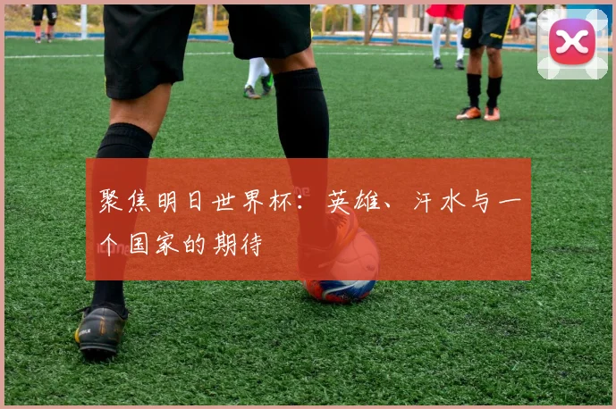 聚焦明日世界杯：英雄、汗水与一个国家的期待
