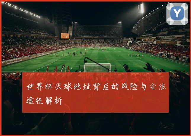 世界杯买球地址背后的风险与合法途径解析